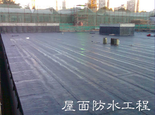 從根本上解決和防治建筑屋面滲漏問題，專家給出的方案是從防水系統(tǒng)設(shè)計、施工過程、材料選材及質(zhì)量監(jiān)管和后期的管理維護(hù)等方面著手，嚴(yán)格規(guī)范